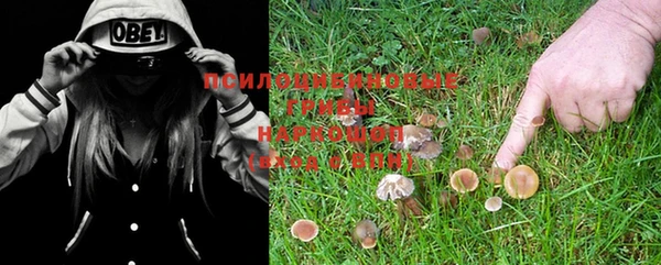 jwh Волосово